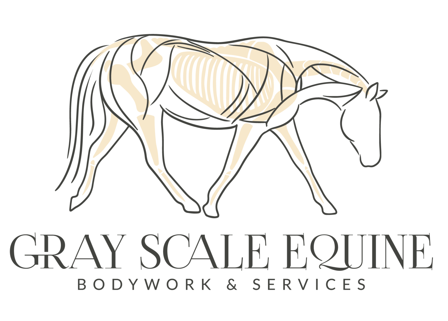 Gray Scale Equine Equine Bodywork Services In PA, NJ